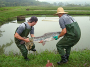 Processo de Biometria é realizado na Unidade do Projeto Piraqué