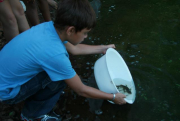 Cinco mil peixes  soltos no Rio Uruguai